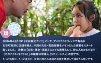 【ふるさと納税】☆沖縄芸能指笛体験☆～沖縄貸衣装体験付き～  | 沖縄 旅行 クーポン 体験 トラベル 人気 おすすめ リゾート チケット 北谷 ちゃたん おすすめ 送料無料