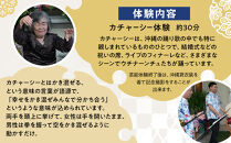 【ふるさと納税】☆沖縄芸能カチャーシー体験☆～沖縄貸衣装体験付き～　| 沖縄 旅行 クーポン 体験 トラベル 人気 おすすめ リゾート チケット 北谷 ちゃたん おすすめ 送料無料