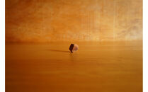 【相良パーティ】屋久杉&nbsp;オブジェ&nbsp;小