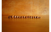 【相良パーティ】屋久杉&nbsp;オブジェ&nbsp;小