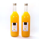 無添加甘夏ジュース&nbsp;約720ml×2本［IKE266］