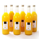 無添加甘夏ジュース&nbsp;約720ml×6本［IKE269］