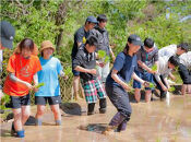 ★楽天のみ公開★大林千年(ひろしまＬＭＯ特産品)