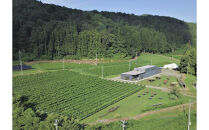 リバーウインズ ロゼ RIVER WINDS ROSE 2024　750ml×1本【 ロゼワイン お酒 アルコール アルコール飲料 晩酌 家飲み 宅飲み 飲み会 集まり バーベキュー BBQ イベント 飲み物】