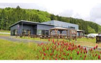 【ふるさと納税】ネオトレイル&nbsp;甲州&nbsp;NEO&nbsp;TRAIL&nbsp;KOSHU&nbsp;2024　750ml×1本　お酒&nbsp;アルコール飲料&nbsp;ワイン&nbsp;赤ワイン&nbsp;白ワイン&nbsp;&nbsp;家飲み&nbsp;&nbsp;飲み会&nbsp;イベント&nbsp;仙台市