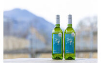 鮨ワイン　SUSHI WINE	　750ml×1本【 白ワイン お酒 アルコール アルコール飲料 晩酌 家飲み 宅飲み 飲み会 集まり バーベキュー BBQ イベント 飲み物】