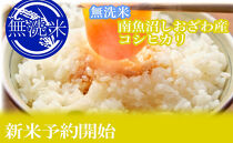 【令和8年産　新米予約】定期便12ヶ月：無洗米10kg●南魚沼しおざわ産コシヒカリ【2026年10月上旬から1ヶ月以内に順次発送予定】