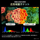 Hisense 【標準設置費込み】 液晶テレビ [ 100V型 / 4Kチューナー内蔵 / YouTube 対応 ] (要事前見積) 100U7N　【 テレビ TV 100型 100インチ 100V 液晶 3年保証 4K 家電 人気 おすすめ 】