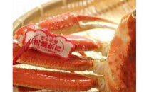 【2025年12月～2026年1月発送】特撰&nbsp;松葉がに（なま）【ブランドタグ付き】600g超のサイズ&nbsp;&nbsp;1杯