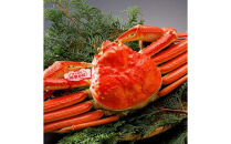 【2025年12月～2026年1月発送】特撰&nbsp;松葉がに（茹）【ブランドタグ付き】700g超のサイズ&nbsp;2杯