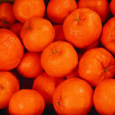 ［先行予約］家庭用 ポンカン1kg+250g（傷み補償分）［IKE22］