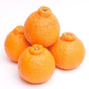 ［先行予約］厳選 不知火1kg+250g（傷み補償分）［デコポンと同品種・人気の春みかん］［IKE211］