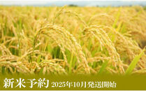 【令和7年産】定期便／5kg×12ヶ月&nbsp;生産者限定&nbsp;南魚沼しおざわ産コシヒカリ