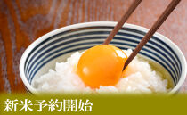 【令和8年産　新米予約】定期便３ヶ月【無洗米】5kg南魚沼しおざわ産コシヒカリ【2026年10月上旬から1ヶ月以内に順次発送予定】