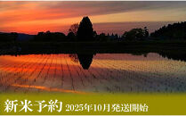 【令和7年産】定期便３ヶ月【無洗米】10kg南魚沼しおざわ産コシヒカリ