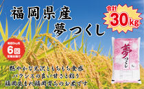 【定期便全6回】【令和7年産新米】【食味鑑定士厳選】福岡県産&nbsp;夢つくし5kg&nbsp;(5kg×1袋)&nbsp;合計&nbsp;30kg【精米&nbsp;お米&nbsp;米&nbsp;ご飯&nbsp;ごはん&nbsp;ブランド&nbsp;ブランド米&nbsp;夢つくし&nbsp;食品&nbsp;ふるさと納税&nbsp;人気&nbsp;おすすめ&nbsp;送料無料&nbsp;炊飯&nbsp;炊飯器&nbsp;福岡&nbsp;福岡県産&nbsp;筑前&nbsp;筑前町&nbsp;】