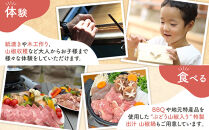 W.A.S. Riverside nature terrace 宿泊補助券 3,000円分 和歌山 わんちゃんと泊まれるグランピング 体験型施設