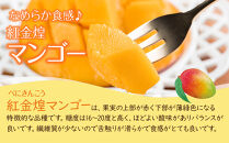 紅金煌&nbsp;マンゴー&nbsp;3~4個&nbsp;入り&nbsp;合計&nbsp;1600g前後