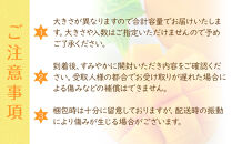 紅金煌&nbsp;マンゴー&nbsp;3~4個&nbsp;入り&nbsp;合計&nbsp;1600g前後