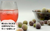 【2025年7月上旬～出荷予定】冷凍 紫小梅 1kg ( 500g ×2袋) 秀優混合 サイズミックス 紅紫色 梅 和歌山県産 紀州有田 クール便 【みかんの会】