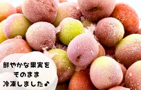 【2025年7月上旬～出荷予定】冷凍 紫小梅 3kg ( 500g ×6袋) 秀優混合 サイズミックス 紅紫色 梅 和歌山県産 紀州有田 クール便 【みかんの会】