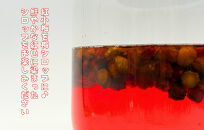 【2025年7月上旬～出荷予定】冷凍 紫小梅 3kg ( 500g ×6袋) 秀優混合 サイズミックス 紅紫色 梅 和歌山県産 紀州有田 クール便 【みかんの会】