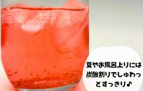 【2025年7月上旬～出荷予定】冷凍 紫小梅 5kg ( 500g ×10袋) 秀優混合 サイズミックス 紅紫色 梅 和歌山県産 紀州有田 クール便 【みかんの会】