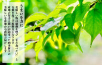 和歌山のうめドリンク&nbsp;180ml&nbsp;×&nbsp;6本&nbsp;&nbsp;和歌山産&nbsp;紀州の梅使用&nbsp;無添加&nbsp;ストレート&nbsp;【みかんの会】