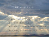 無農薬レモンチーズケーキと出雲藻塩のバスクチーズケーキセット　出雲　神々の憩い（かみがみのいこい）