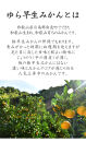 【極早生みかん】ゆら早生&nbsp;みかん&nbsp;5kg&nbsp;家庭用&nbsp;2S・3S混合サイズ&nbsp;和歌山県海南市産&nbsp;産地直送