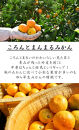 【極早生みかん】ゆら早生&nbsp;みかん&nbsp;5kg&nbsp;家庭用&nbsp;2S・3S混合サイズ&nbsp;和歌山県海南市産&nbsp;産地直送
