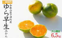 【極早生みかん】ゆら早生みかん&nbsp;約6.5kg&nbsp;大小混合サイズ&nbsp;訳あり&nbsp;和歌山県下津町産&nbsp;産地直送&nbsp;【北海道・沖縄県・一部離島&nbsp;配送不可】&nbsp;［Mg25］