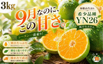 極早生みかん&nbsp;YN26&nbsp;約3kg&nbsp;2S・S・Mサイズ&nbsp;赤秀&nbsp;和歌山県海南市産&nbsp;農園直送&nbsp;まごころ産直みかん&nbsp;【9月より順次発送】【北海道・沖縄県・一部離島&nbsp;配送不可】YN26&nbsp;ゆら早生&nbsp;和歌山&nbsp;ミカン&nbsp;蜜柑&nbsp;果物&nbsp;フルーツ&nbsp;贈答用&nbsp;少量サイズ&nbsp;厳選［Mg33］