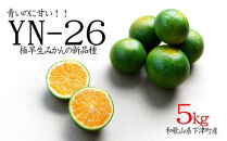極早生みかん&nbsp;YN26&nbsp;約5kg&nbsp;2S～Mサイズ混合&nbsp;《赤秀》&nbsp;和歌山県海南市産&nbsp;農園直送&nbsp;まごころ産直みかん&nbsp;【北海道・沖縄県・一部離島&nbsp;配送不可】&nbsp;YN26&nbsp;9月&nbsp;旬&nbsp;希少&nbsp;みかん&nbsp;厳選&nbsp;フルーツ&nbsp;果物&nbsp;くだもの&nbsp;人気&nbsp;おすすめ&nbsp;送料無料&nbsp;秋みかん［Mg34］