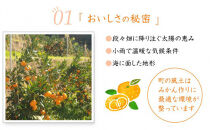 【極早生みかん】みかん&nbsp;10kg&nbsp;家庭用&nbsp;2S・3S混合&nbsp;和歌山県海南市産&nbsp;産地直送