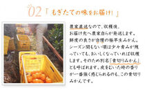 【極早生みかん】みかん&nbsp;10kg&nbsp;家庭用&nbsp;2S・3S混合&nbsp;和歌山県海南市産&nbsp;産地直送
