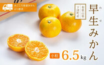 早生みかん&nbsp;小粒みかん&nbsp;6.5kg&nbsp;S・SSサイズ&nbsp;秀品&nbsp;【11月～1月発送】&nbsp;まごころ産直みかんより農園直送&nbsp;【北海道・沖縄県・一部離島&nbsp;配送不可】&nbsp;Sサイズ&nbsp;2Sサイズ&nbsp;小玉&nbsp;小粒&nbsp;小さい&nbsp;こつぶ&nbsp;こだま&nbsp;ミカン&nbsp;蜜柑&nbsp;mikan&nbsp;早生みかん［Mg41］