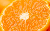 早生みかん&nbsp;小粒みかん&nbsp;6.5kg&nbsp;S・SSサイズ&nbsp;秀品&nbsp;【11月～1月発送】&nbsp;まごころ産直みかんより農園直送&nbsp;【北海道・沖縄県・一部離島&nbsp;配送不可】&nbsp;Sサイズ&nbsp;2Sサイズ&nbsp;小玉&nbsp;小粒&nbsp;小さい&nbsp;こつぶ&nbsp;こだま&nbsp;ミカン&nbsp;蜜柑&nbsp;mikan&nbsp;早生みかん［Mg41］