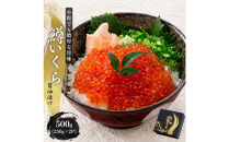いくら&nbsp;醤油漬け&nbsp;500g(250g×2P)&nbsp;&nbsp;小分け&nbsp;&nbsp;鱒の卵&nbsp;化粧箱入り&nbsp;愛名古屋&nbsp;|&nbsp;いくら&nbsp;イクラ&nbsp;いくら醤油漬け&nbsp;冷凍&nbsp;鱒卵&nbsp;醤油漬け&nbsp;化粧箱入り&nbsp;贈答用&nbsp;高級&nbsp;グルメ&nbsp;人気&nbsp;おすすめ&nbsp;海鮮&nbsp;魚卵&nbsp;送料無料
