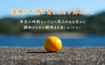 早生みかん&nbsp;約5kg&nbsp;小粒2S・3S混合&nbsp;《ご家庭用》&nbsp;和歌山県産&nbsp;農園直送&nbsp;まごころ産直みかん&nbsp;【北海道・沖縄県・一部離島&nbsp;配送不可】　ちょっと&nbsp;訳あり&nbsp;希少&nbsp;小粒みかん&nbsp;SSサイズ&nbsp;小玉&nbsp;わけあり&nbsp;訳アリ&nbsp;［Mg46］