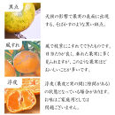 早生みかん&nbsp;約5kg&nbsp;小粒2S・3S混合&nbsp;《ご家庭用》&nbsp;和歌山県産&nbsp;農園直送&nbsp;まごころ産直みかん&nbsp;【北海道・沖縄県・一部離島&nbsp;配送不可】　ちょっと&nbsp;訳あり&nbsp;希少&nbsp;小粒みかん&nbsp;SSサイズ&nbsp;小玉&nbsp;わけあり&nbsp;訳アリ&nbsp;［Mg46］