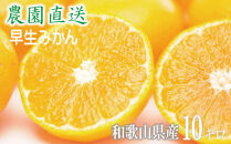 【早生みかん】みかん&nbsp;10kg&nbsp;家庭用&nbsp;2S・3S混合&nbsp;和歌山県海南市産&nbsp;産地直送