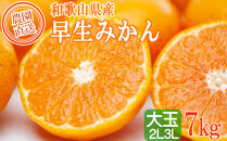 早生みかん 約7kg 大玉 2L・3Lサイズおまかせ 《ご家庭用》 和歌山県産 農園直送 まごころ産直みかん 【北海道・沖縄県・一部離島 配送不可】大きい 蜜柑 温州みかん ちょっと訳あり　わけあり 訳アリ ［Mg50］