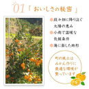 早生みかん 約7kg 大玉 2L・3Lサイズおまかせ 《ご家庭用》 和歌山県産 農園直送 まごころ産直みかん 【北海道・沖縄県・一部離島 配送不可】大きい 蜜柑 温州みかん ちょっと訳あり　わけあり 訳アリ ［Mg50］