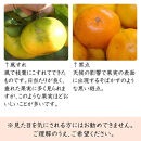 早生みかん 約7kg 大玉 2L・3Lサイズおまかせ 《ご家庭用》 和歌山県産 農園直送 まごころ産直みかん 【北海道・沖縄県・一部離島 配送不可】大きい 蜜柑 温州みかん ちょっと訳あり　わけあり 訳アリ ［Mg50］