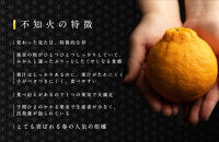 不知火&nbsp;約3kg&nbsp;大玉9～11玉入り&nbsp;《赤秀》&nbsp;和歌山県産&nbsp;農園直送&nbsp;まごころ産直みかん&nbsp;【北海道・沖縄県・一部離島&nbsp;配送不可】&nbsp;みかん&nbsp;果物&nbsp;柑橘&nbsp;しらぬい&nbsp;デコポンと同じ品種&nbsp;でこぽん&nbsp;［Mg52］