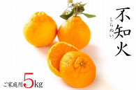 不知火約5kg&nbsp;15～24玉入り&nbsp;《ご家庭用》&nbsp;訳あり&nbsp;和歌山県産&nbsp;農園直送&nbsp;まごころ産直みかん【北海道・沖縄県・離島配送不可】みかん&nbsp;柑橘&nbsp;しらぬい&nbsp;デコポンと同じ品種&nbsp;&nbsp;［Mg54］