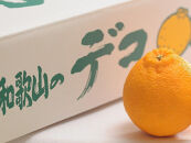 不知火約5kg&nbsp;15～24玉入り&nbsp;《ご家庭用》&nbsp;訳あり&nbsp;和歌山県産&nbsp;農園直送&nbsp;まごころ産直みかん【北海道・沖縄県・離島配送不可】みかん&nbsp;柑橘&nbsp;しらぬい&nbsp;デコポンと同じ品種&nbsp;&nbsp;［Mg54］