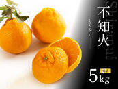 不知火&nbsp;約5kg&nbsp;15～24玉入り&nbsp;《赤秀》&nbsp;和歌山県産&nbsp;農園直送&nbsp;まごころ産直みかん&nbsp;【北海道・沖縄県・一部離島&nbsp;配送不可】&nbsp;みかん&nbsp;果物&nbsp;柑橘&nbsp;しらぬい&nbsp;デコポンと同じ品種&nbsp;でこぽん&nbsp;［Mg53］