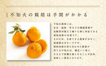 不知火&nbsp;約5kg&nbsp;15～24玉入り&nbsp;《赤秀》&nbsp;和歌山県産&nbsp;農園直送&nbsp;まごころ産直みかん&nbsp;【北海道・沖縄県・一部離島&nbsp;配送不可】&nbsp;みかん&nbsp;果物&nbsp;柑橘&nbsp;しらぬい&nbsp;デコポンと同じ品種&nbsp;でこぽん&nbsp;［Mg53］